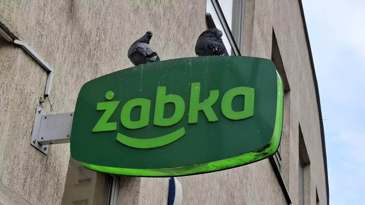 Żabka (fot. Wiadomoscihandlowe.pl)
