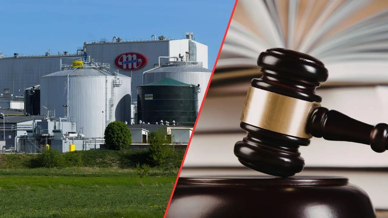 Szantażowali SM Mlekovita i żądali 4 mln zł haraczu. Właśnie zostali skazani (fot. SM Mlekovita + Canva)