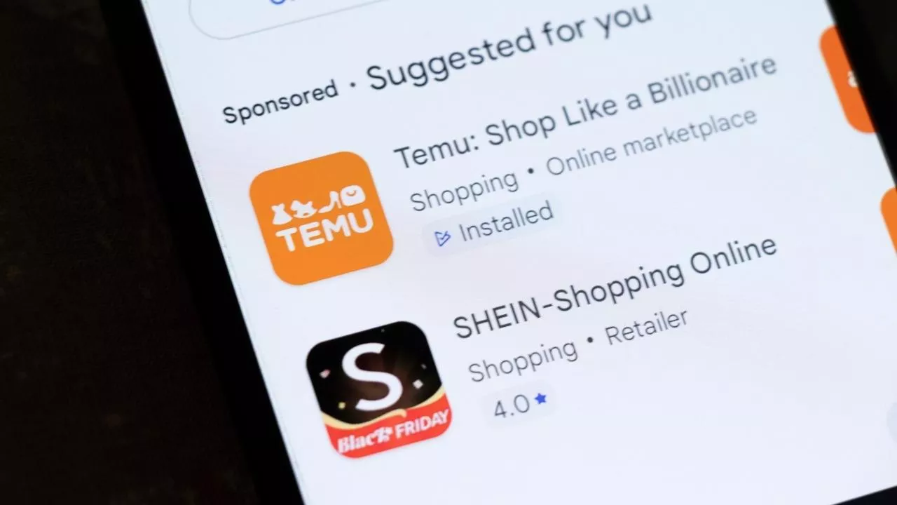 Temu i Shein wywierają presję cenową na polski e-commerce (fot. Shutterstock)