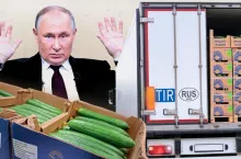 Import żywności z Rosji do Polski nadal nie został zakazany (fot. wiadomoscihandlowe.pl, Shutterstock; fotomontaż: Patryk Makowski)