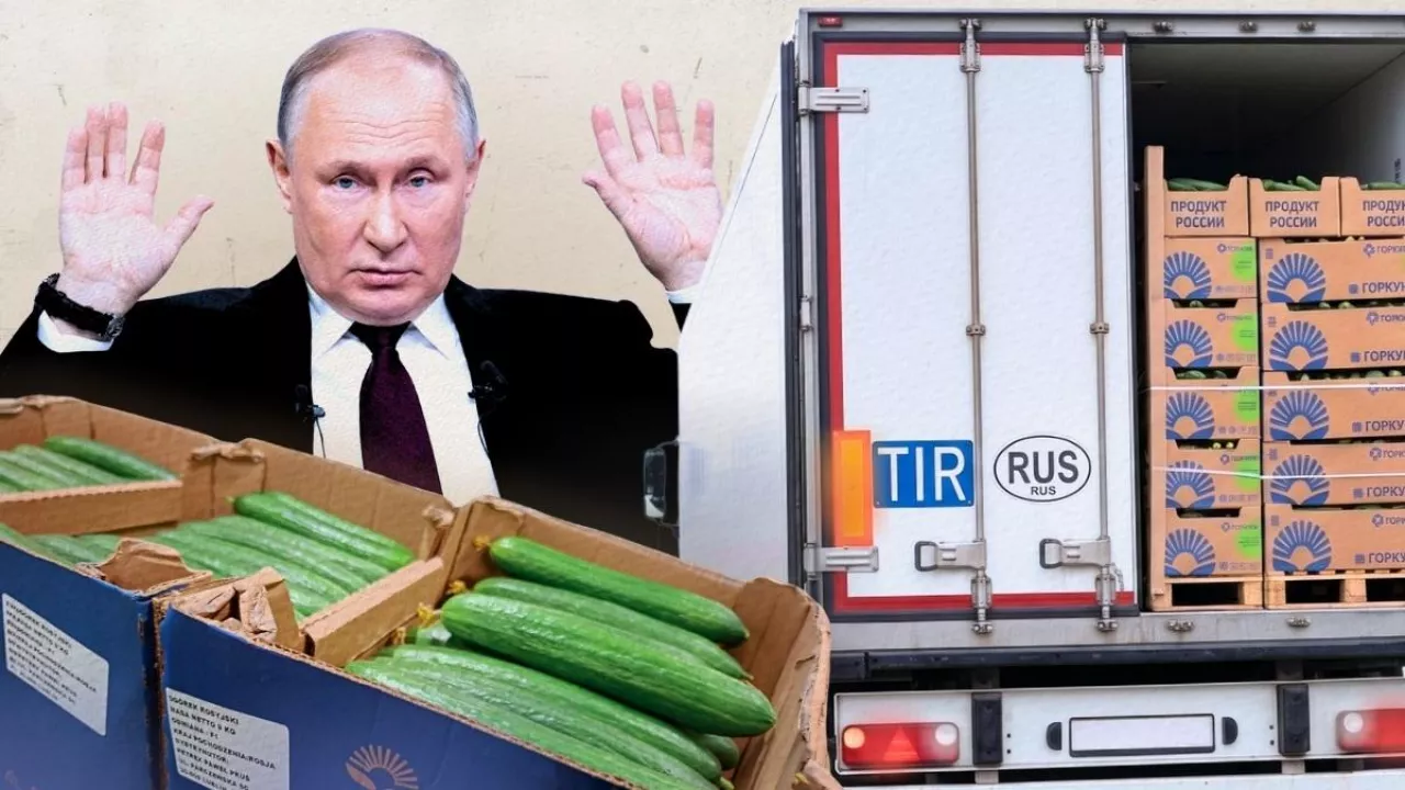 Import żywności z Rosji do Polski nadal nie został zakazany (fot. wiadomoscihandlowe.pl, Shutterstock; fotomontaż: Patryk Makowski)