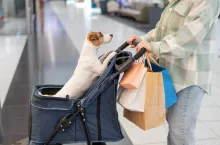 Dlaczego konsumenci wydają więcej, choć nadal oszczędzają? Odpowiedź daje PwC (fot. Shutterstock)