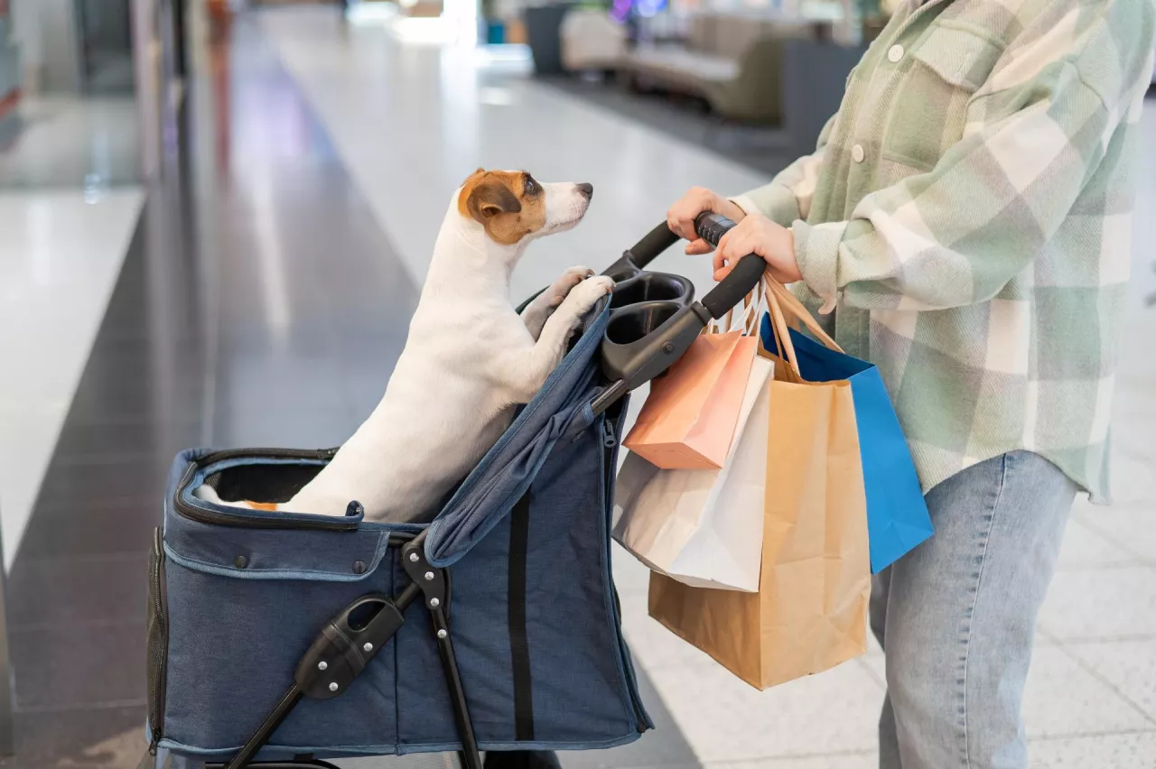 Dlaczego konsumenci wydają więcej, choć nadal oszczędzają? Odpowiedź daje PwC (fot. Shutterstock)