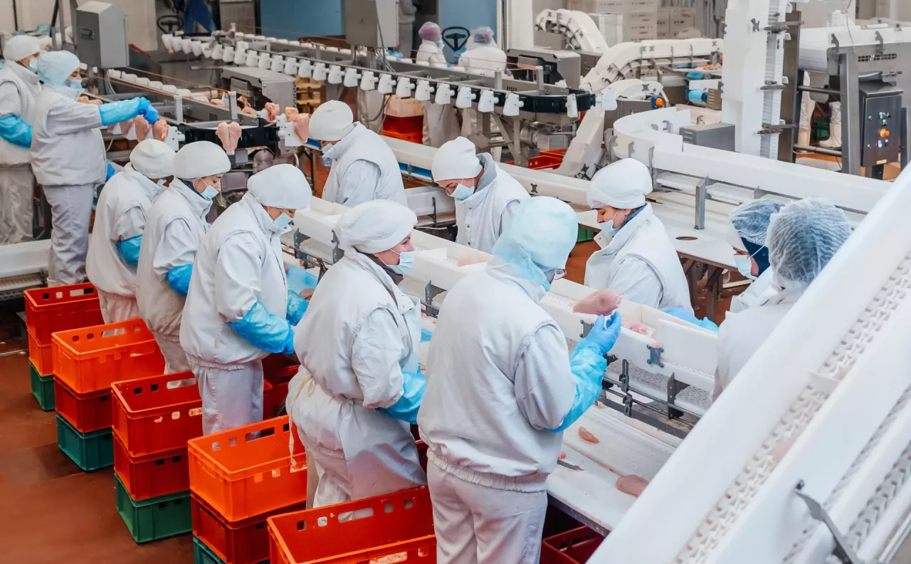 Przemysł spożywczy traci tempo. Prognozy gorsze niż na poczatku roku (fot. Shutterstock)