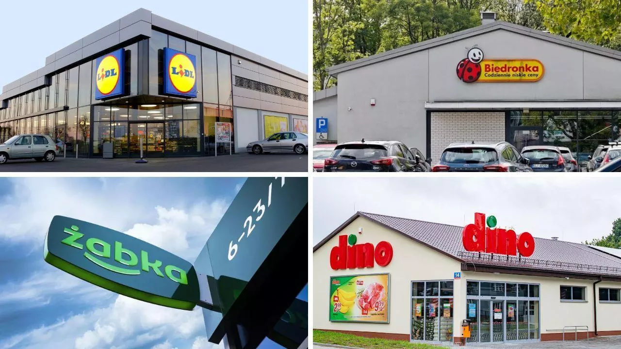Biedronka, Lidl, Dino i Żabka. Oto TOP5 największych sieci spożywczych w Polsce