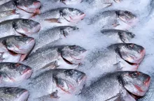 Globalny popyt na ryby rośnie. FAO ostrzega przed przełowieniem (fot. Shutterstock)