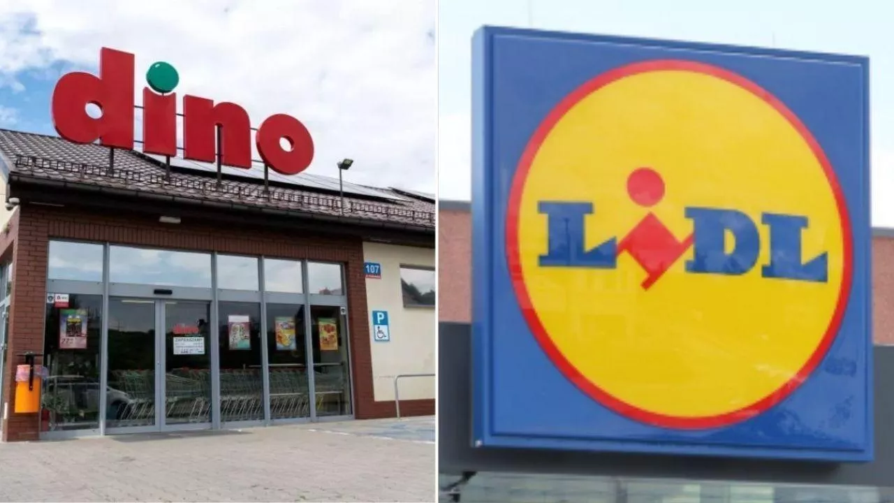 UOKiK bada czy w sprawę zamieszane były Lidl i Dino (fot. Shutterstock)