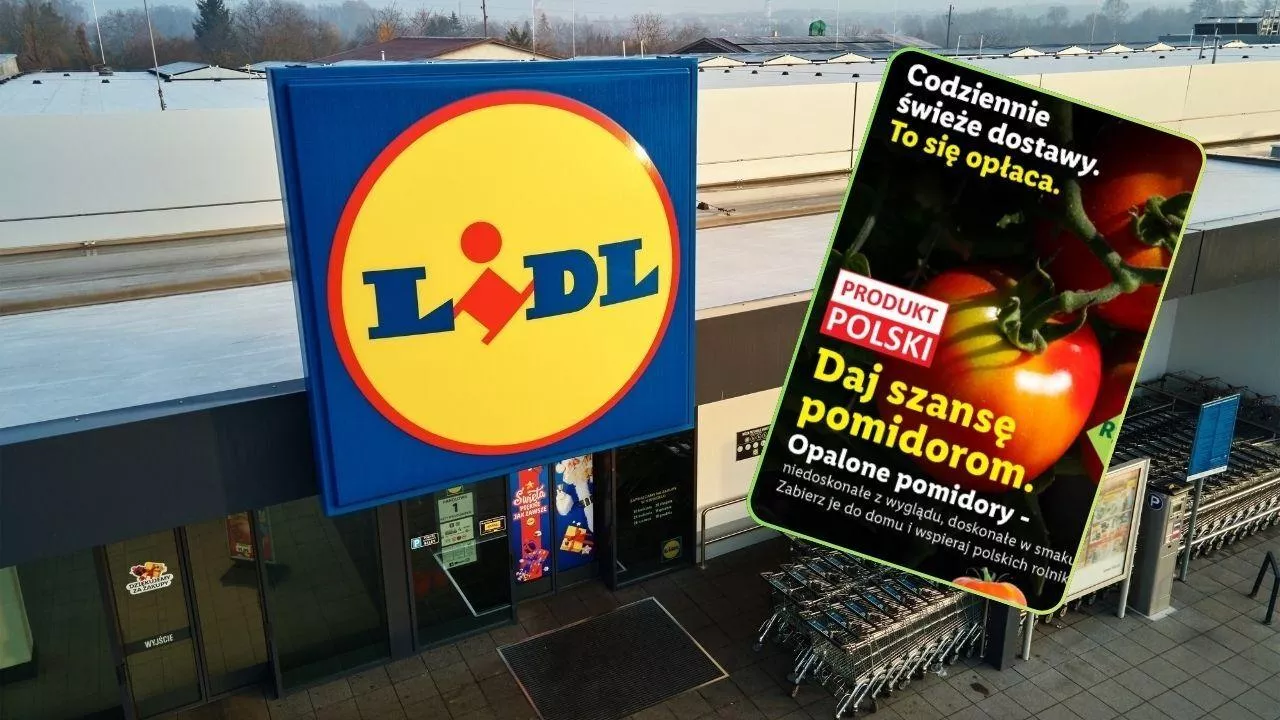 Dziś ostatni dzień na możliwość kupna ”niedoskonałych” pomidorów w Lidlu (fot. Lidl Polska + Shutterstock)