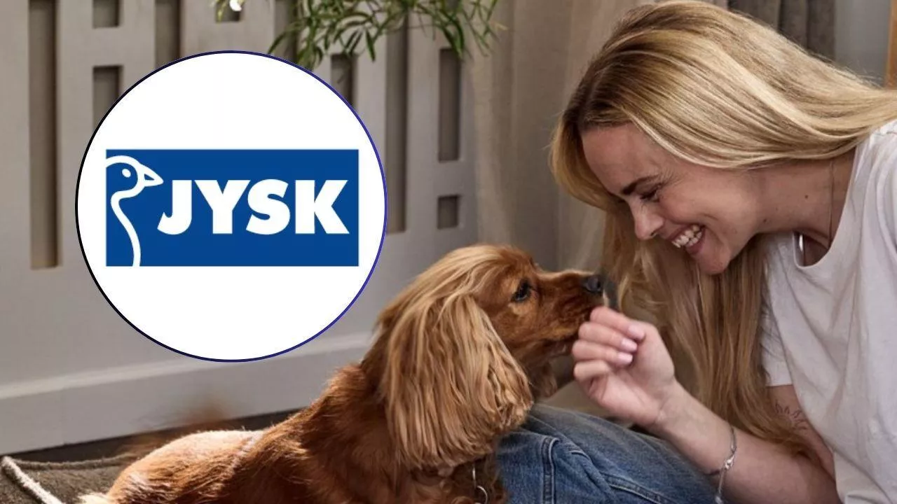 Jysk wprowadza dedykowaną kolekcję akcesoriów dla psów. Nowa oferta już w sklepach