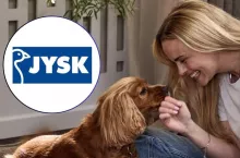 W salonach Jysk zadebiutowała dedykowana linia akcesoriów stworzona z myślą o psach (fot. Jysk)