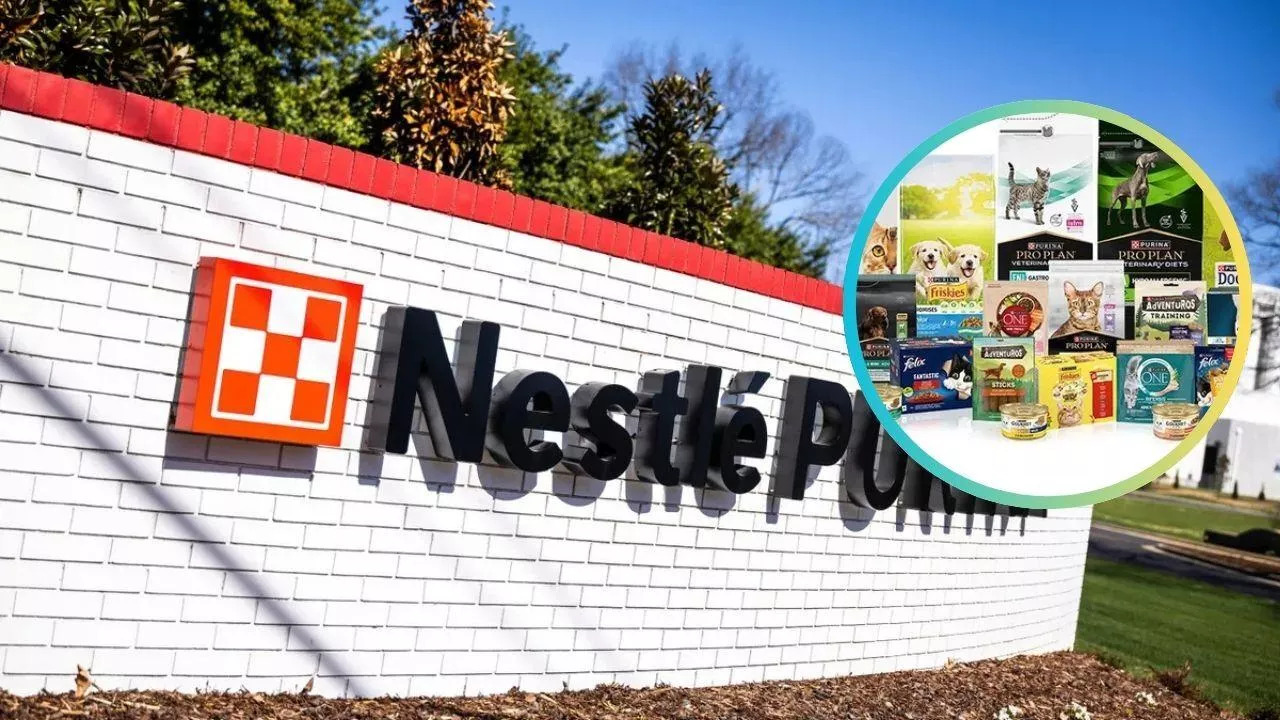 Nestlé zainwestuje miliony w segment petcare (fot. Nestle)