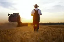 Branża rolno-spożywcza ma już blisko 800 mln zł długu (fot. Shutterstock)