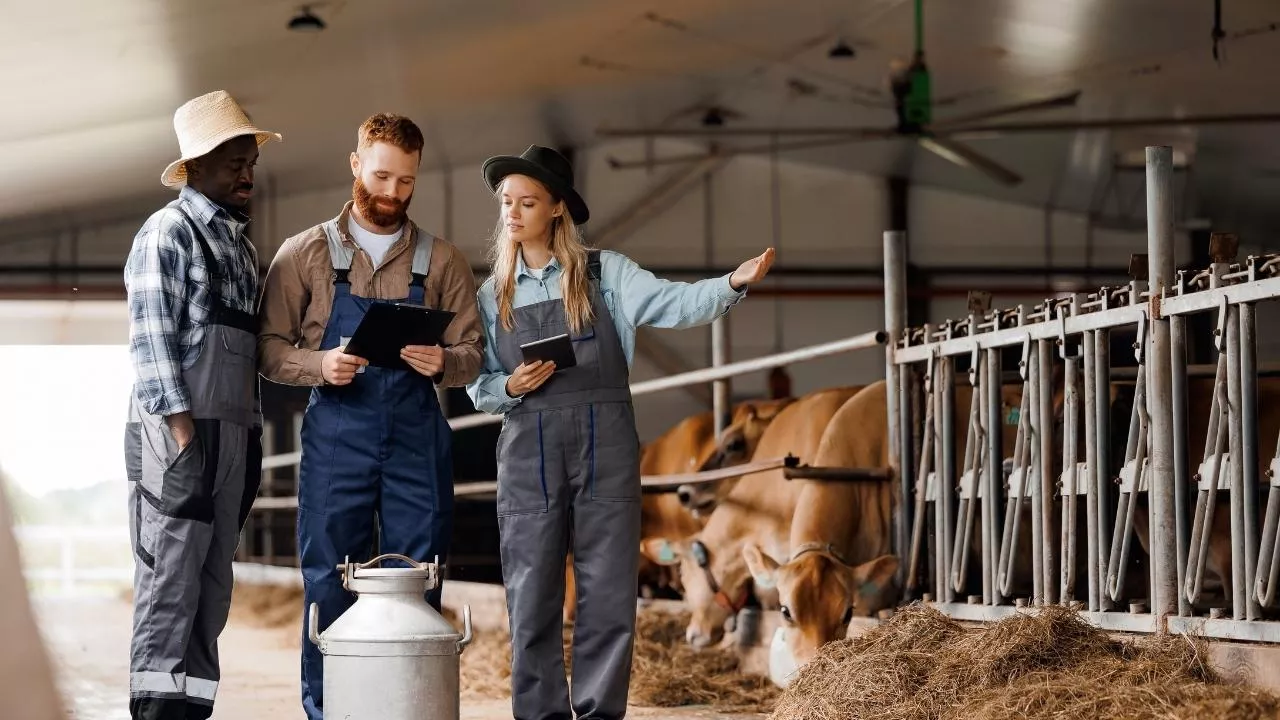 Spadki cen surowców rolnych stwarzają przestrzeń negocjacyjną dla sieci handlowych (fot. Shutterstock)