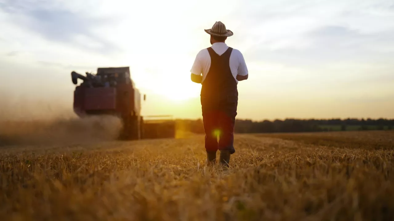 Branża rolno-spożywcza ma już blisko 800 mln zł długu (fot. Shutterstock)