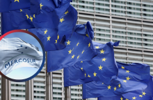 UE-Mercosur: eksport polskiej żywności rośnie. Ekspert studzi optymizm (fot. Shutterstock)