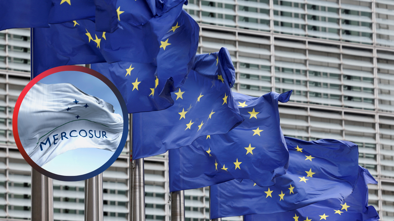 UE-Mercosur: eksport polskiej żywności rośnie. Ekspert studzi optymizm (fot. Shutterstock)