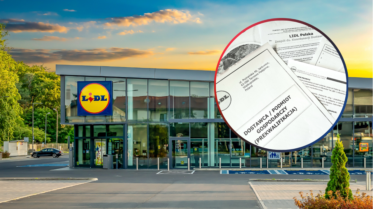 Przekręt ”na Lidla”. Oszuści wyłudzają kaucje od firm (fot. Shutterstock/Canva)