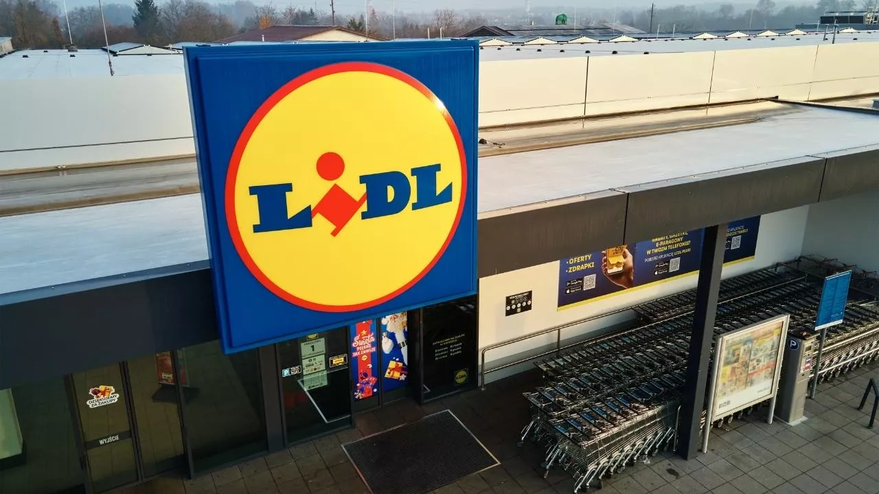 Lidl z promocją na sezon grillowy (fot. Shutterstock)