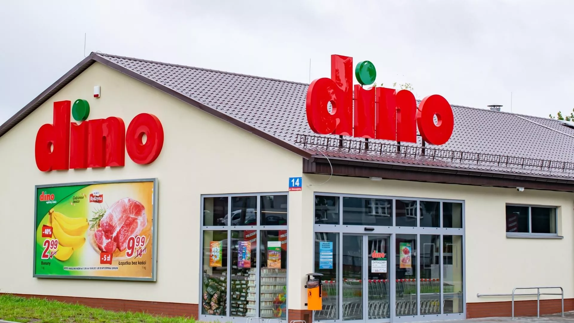 Dino rośnie na GPW. Czy poprawa wyników jest już za rogiem?