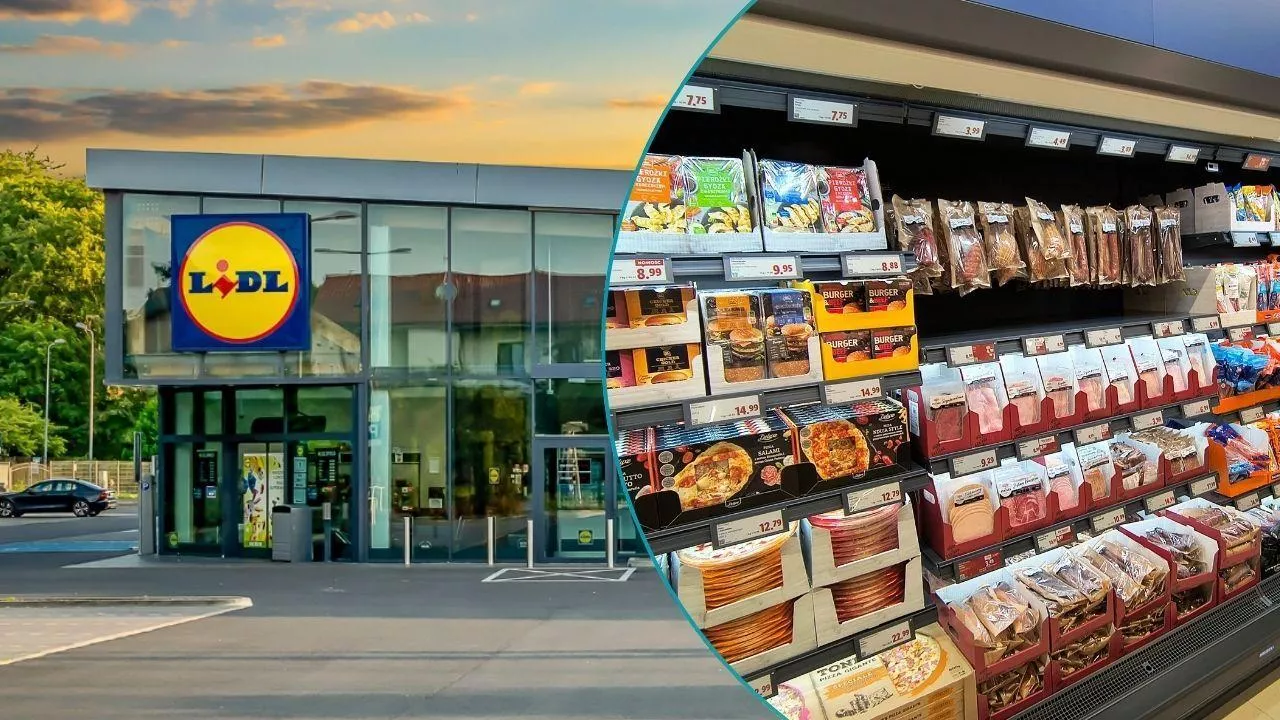 Lidl Polska pokazuje potencjał rodzimych producentów (fot. Shutterstock + wiadomoscihandlowe.pl)