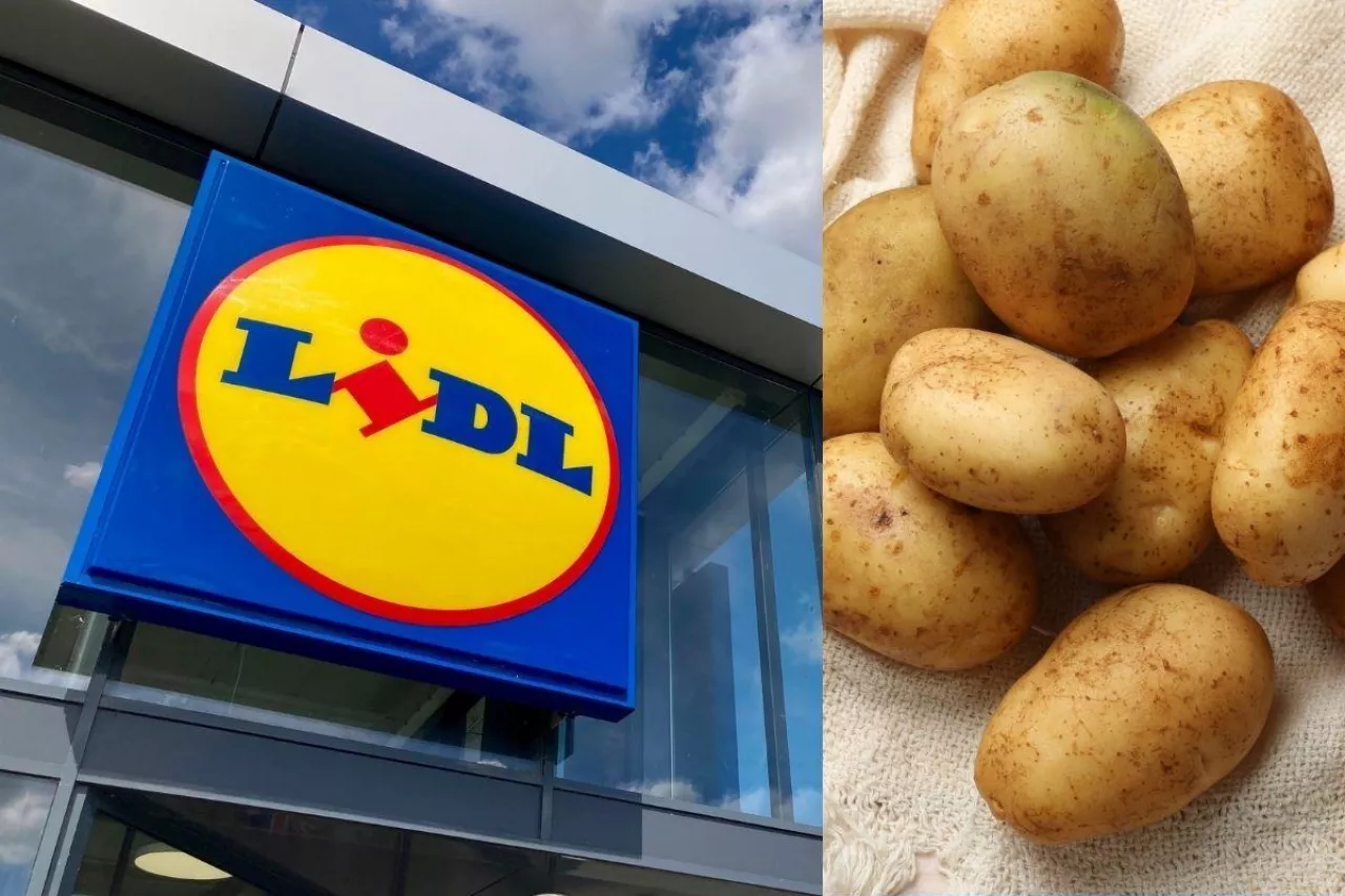 Lidl stawia na polskie ziemniaki. Sieć przygotowała specjalną ofertę (fot. Shutterstock)