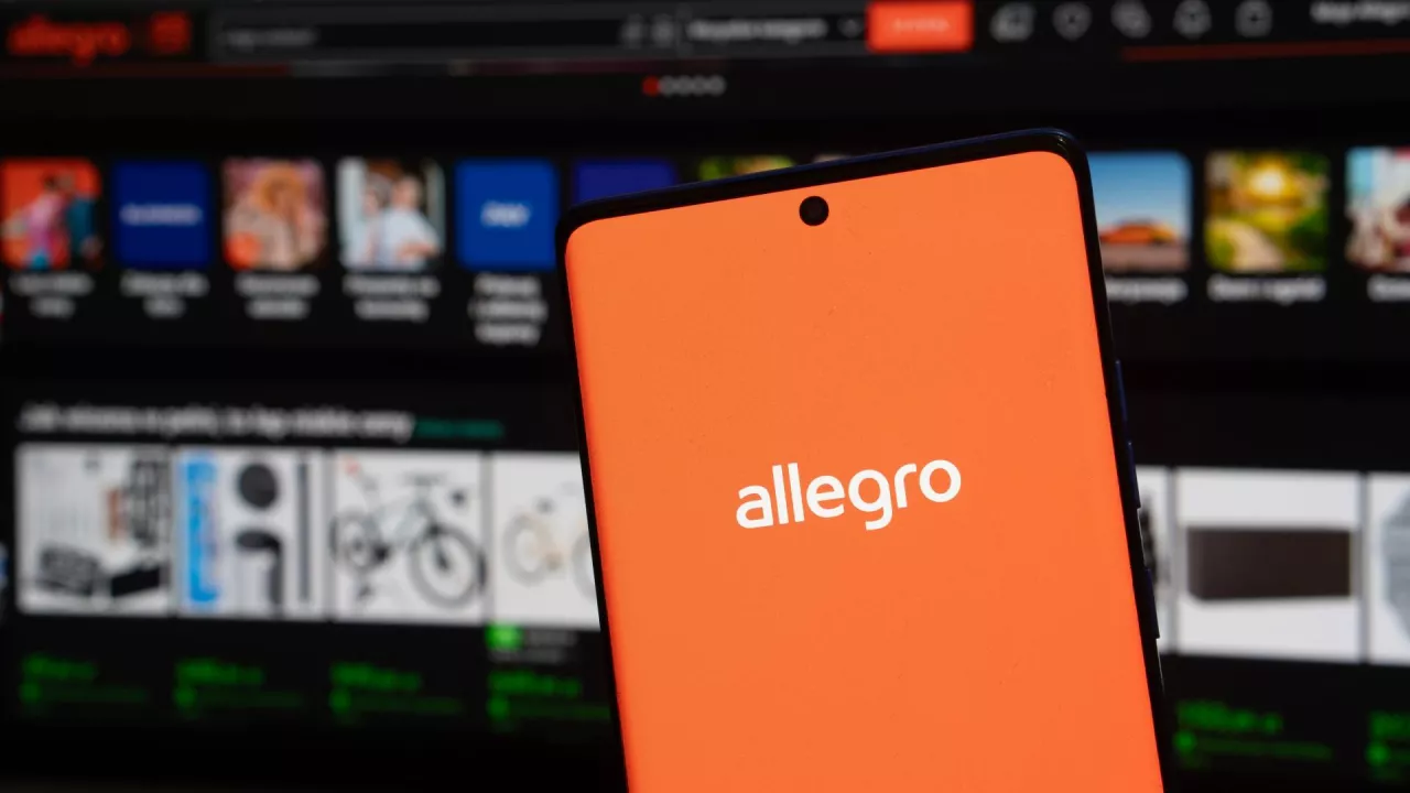 Handel w internecie. Allegro daleko przed Biedronką, Media Expert i Lidlem (fot. Shutteratock)