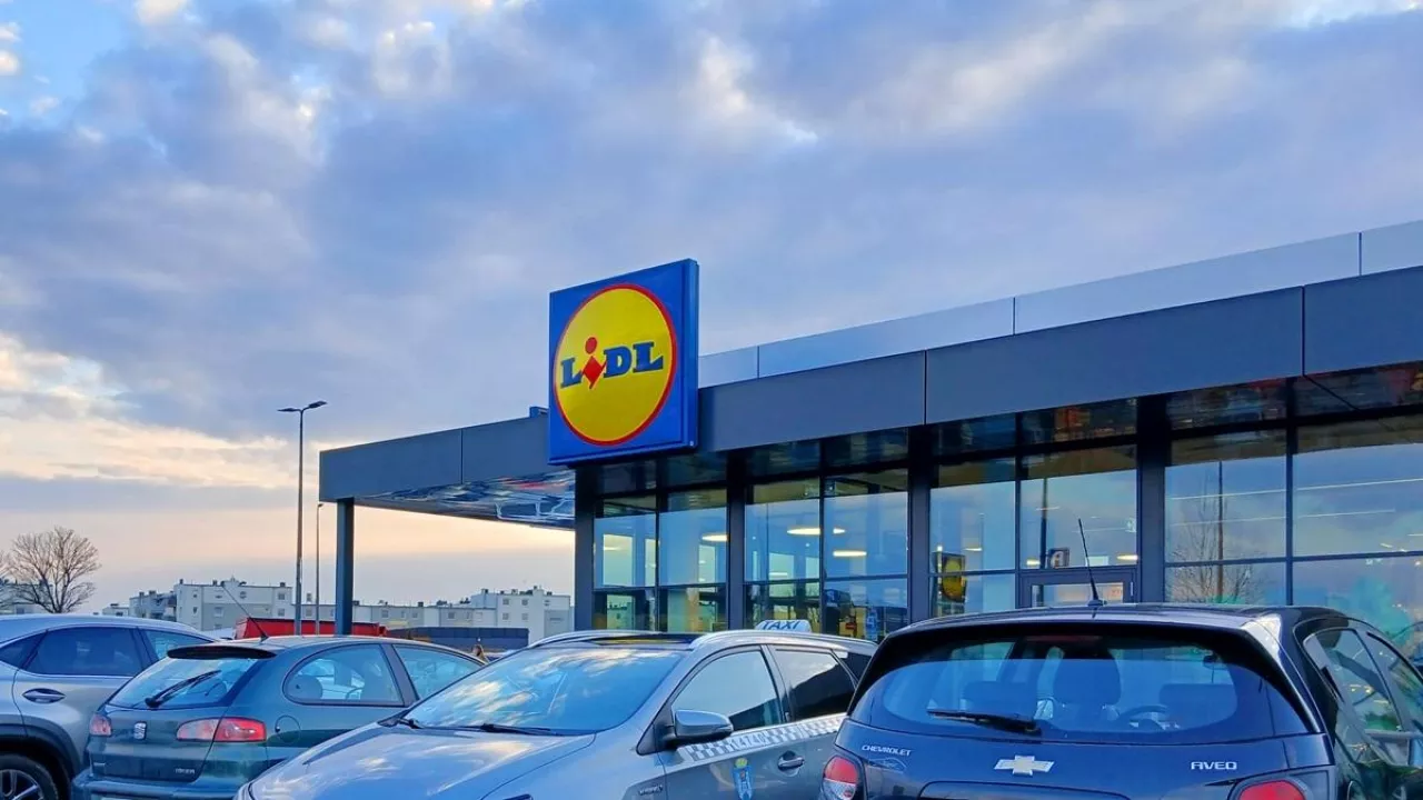 Na zdj. sklep sieci Lidl w Polsce (fot. Magda Wygralak/Shutterstock)