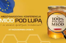 Miód pod lupą w przenośni i dosłownie!