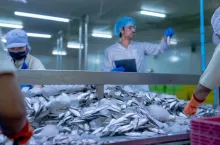 BIG InfoMonitor alarmuje: rosną długi przetwórców ryb i producentów pieczywa (fot. Shutterstock)