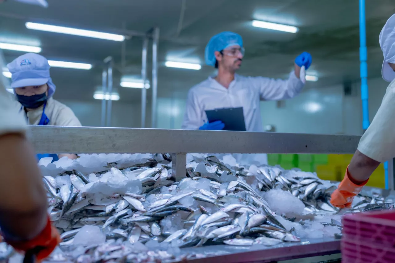 BIG InfoMonitor alarmuje: rosną długi przetwórców ryb i producentów pieczywa (fot. Shutterstock)