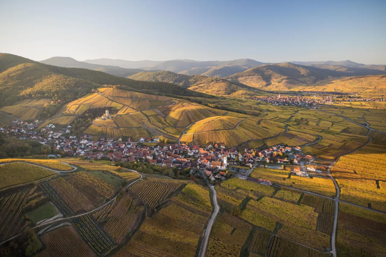 Eksport Crémant d‘Alsace do Polski potroił się w trzy lata (fot. mat. prasowe)