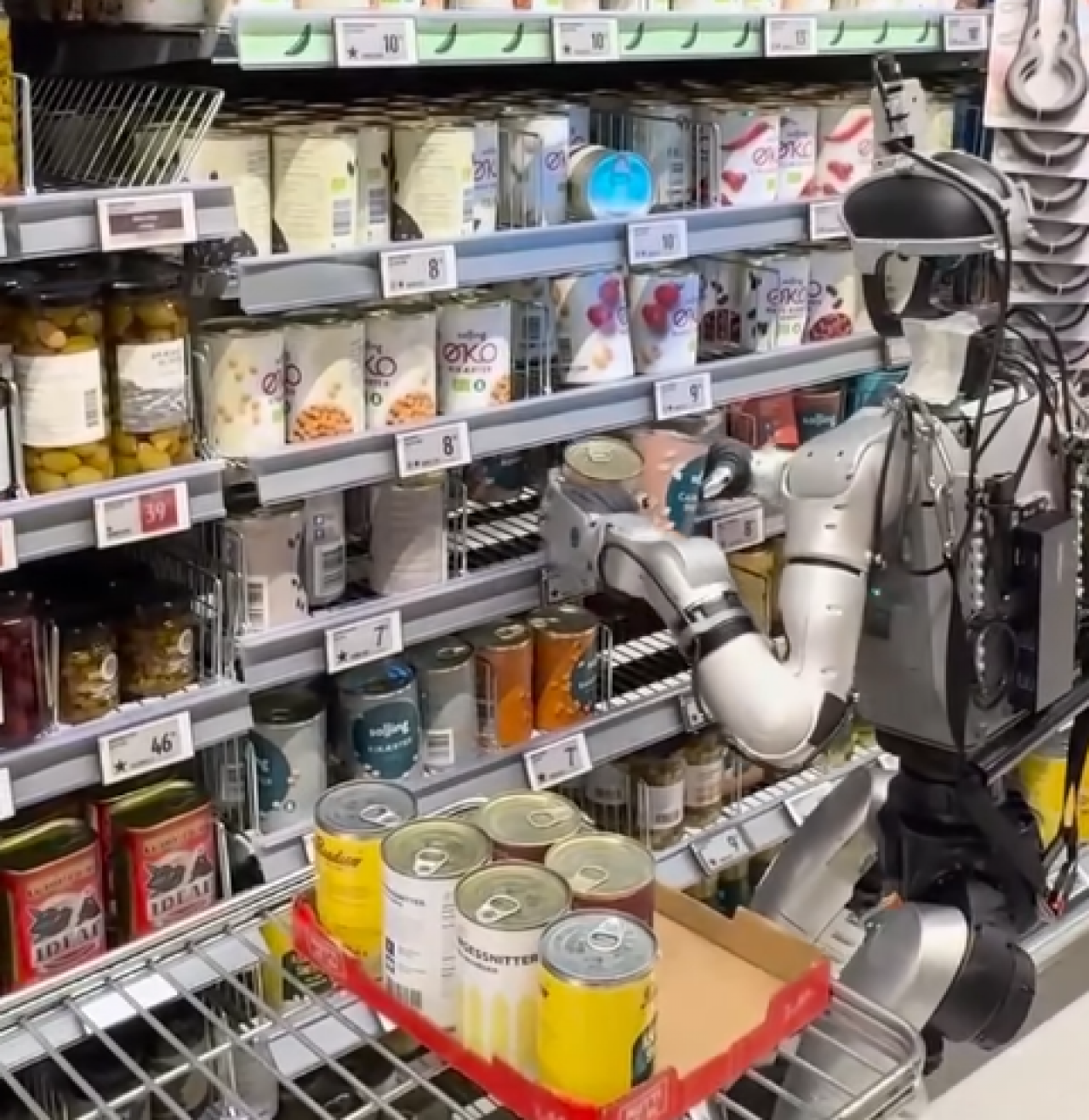 Salling Group testuje roboty humanoidalne w jednej ze swoich sieci supermarketów. Mają wesprzeć personel po godzinach (fot. Hive Robots).